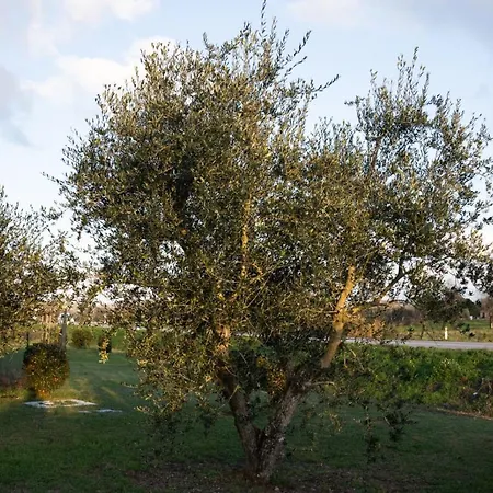 B&B San Martino In Campo Бастия-Умбра